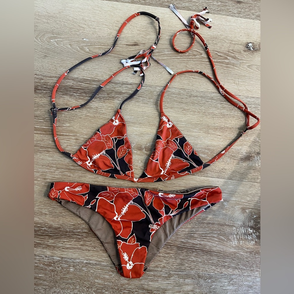 Acacia bikini **SOLD